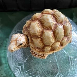 Harmony Kingdom Turtle Empty Box